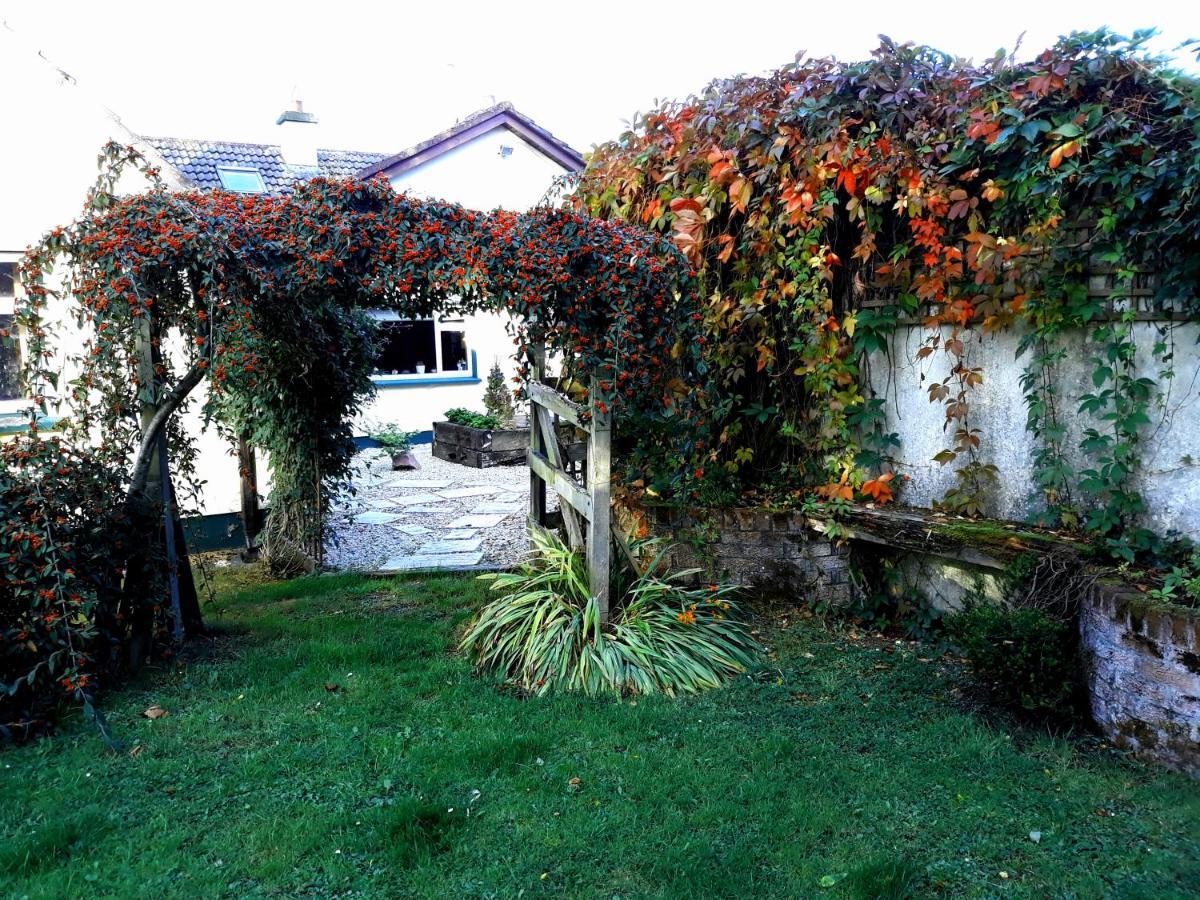 Country Home Tara Rathfeigh Exterior photo